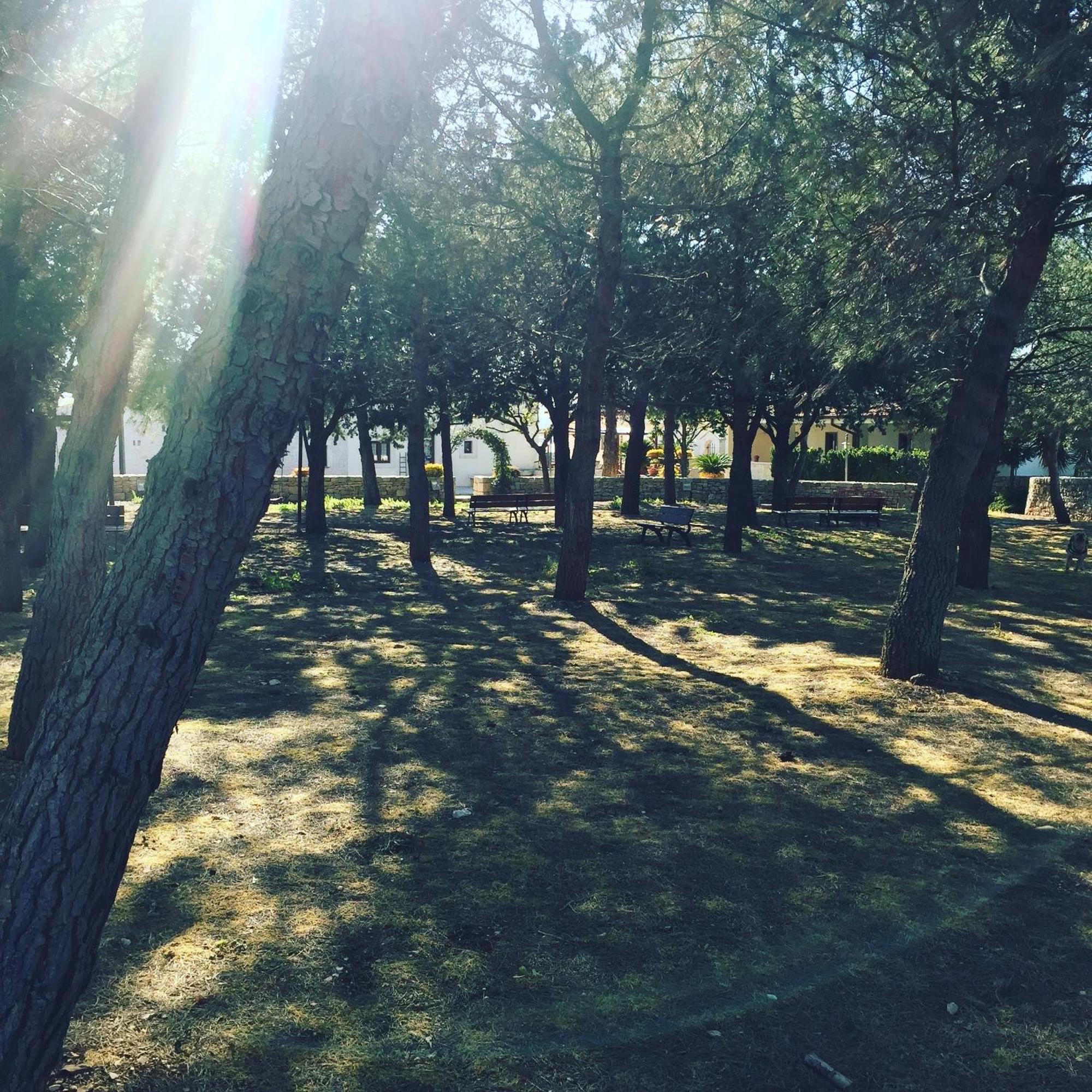 Masseria Gravelle Turi Eksteriør billede