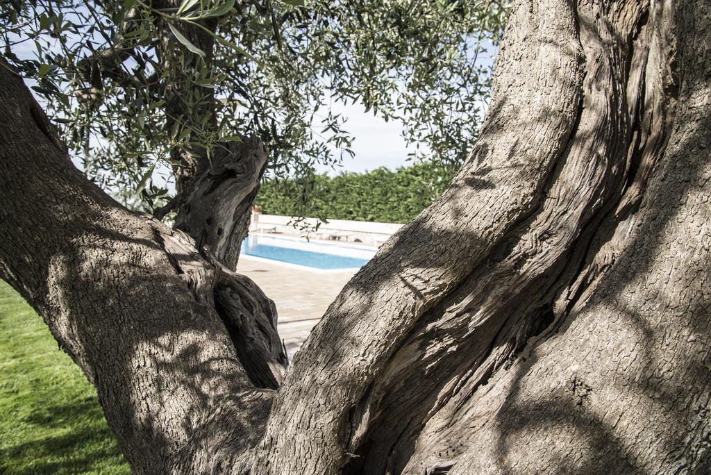 Masseria Gravelle Turi Eksteriør billede